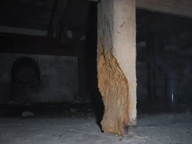 【動物のことなら何でも相談！】静岡県のどこでも可◎2024新規開店お祝い価格！サービスの画像