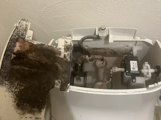 お客様のお力になります！経験と知識を活かして迅速丁寧に作業いたします！サービスの画像