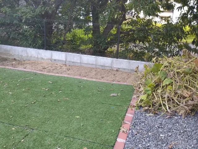 庭などの草取りサービスの画像