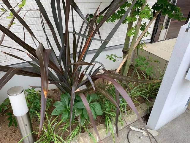 ◆千葉市発◆お立ち会い不用！サービスの画像