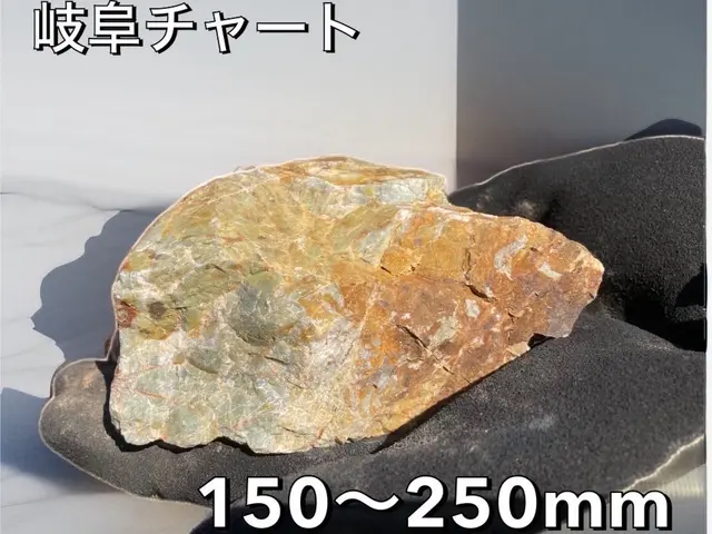 【口コミ賞受賞店舗】雑草対策のついでにお洒落なお庭にしませんか？？サービスの画像