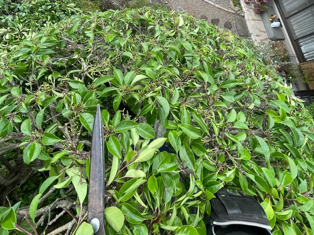 【女性スタッフ指定OK】駐車場代は当社負担！小さなご依頼もお気軽に◉サービスの画像