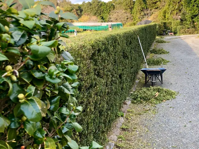 【女性スタッフ指定OK】駐車場代は当社負担！小さなご依頼もお気軽に◉サービスの画像