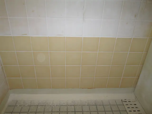 私達は小さな会社です。しかし業界30年の実績があります。サービスの画像