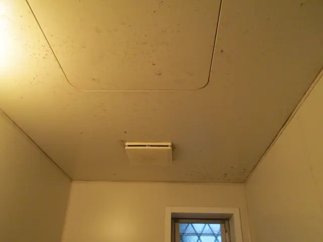 私達は小さな会社です。しかし業界30年の実績があります。サービスの画像