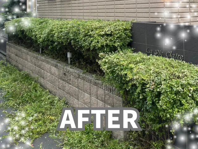 草むしり年間実績100件！確かな実績サービスの画像