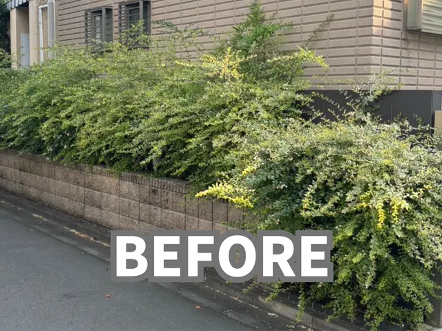 草むしり年間実績100件！確かな実績サービスの画像