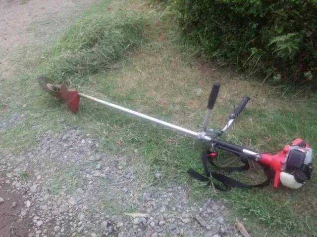 伸びた雑草はスッキリして気分もスッキリ！お仕事の予約受付可能です☆サービスの画像