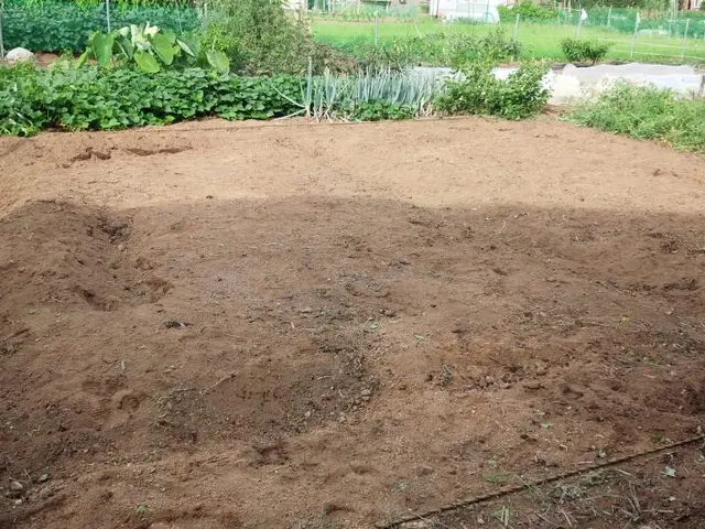 伸びた雑草はスッキリして気分もスッキリ！お仕事の予約受付可能です☆サービスの画像