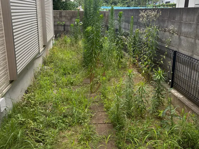 草刈りなど、めんどくさい案件もお任せください！モットーはどこよりも安く！丁寧に！サービスの画像