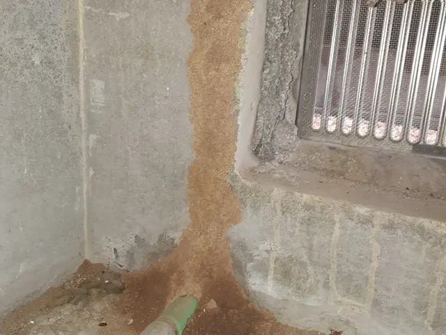 新規オープンキャンペーン！！24年の豊富な実績サービスの画像