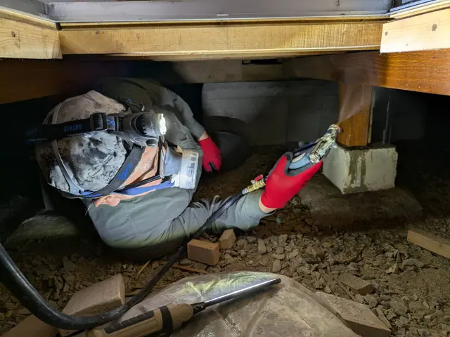 春の白蟻予防キャンペーン！！25年の経験と有資格者による安心施工！サービスの画像