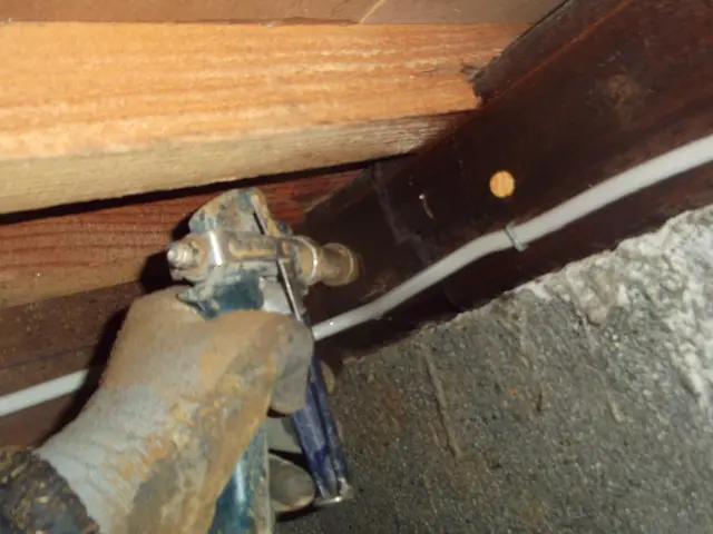 新規オープンキャンペーン！！24年の豊富な実績サービスの画像