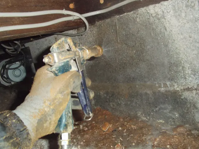 新規オープンキャンペーン！！24年の豊富な実績サービスの画像