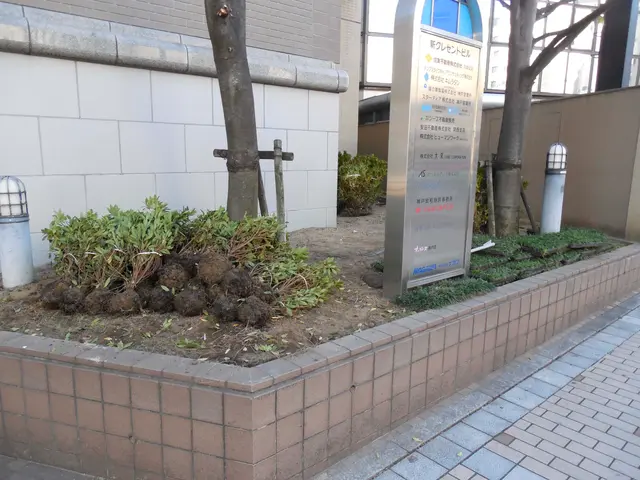 業歴45年以上！丁寧さを大切に、お客様と一緒に庭園作りをしていきます！年中無休サービスの画像