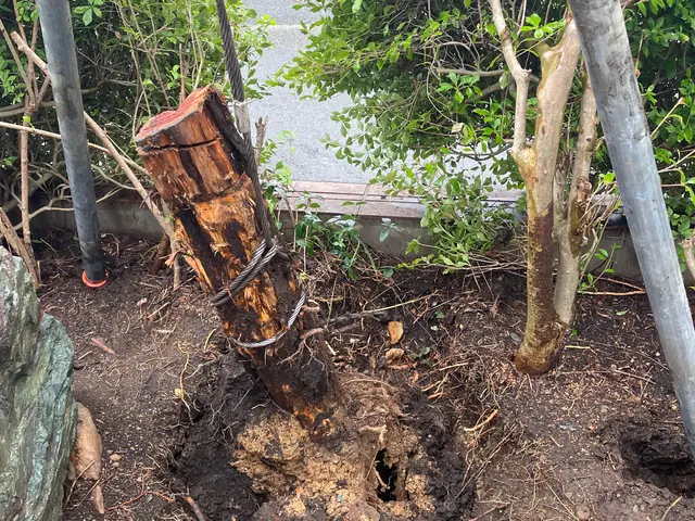 追加料金なし◆盛岡市発◆空家対応＊立会なしOK＊現地無料見積可◆有資格者が対応サービスの画像