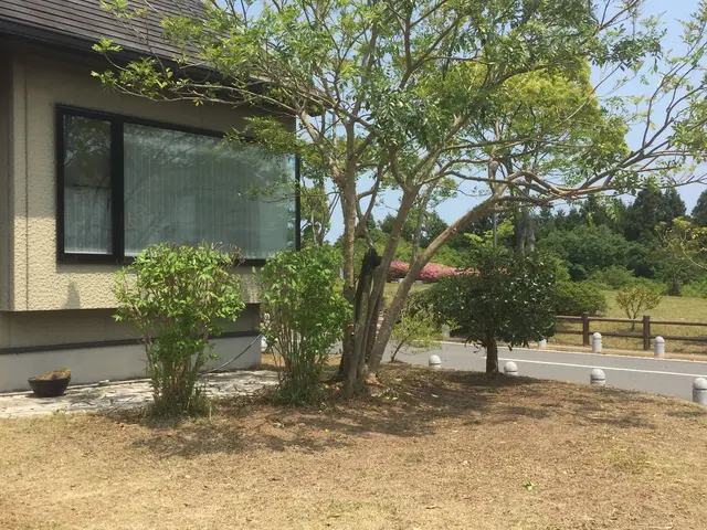 ＜大分県から出向します＞大工10年、造園10年、木が大好きです！なんでも相談OKサービスの画像