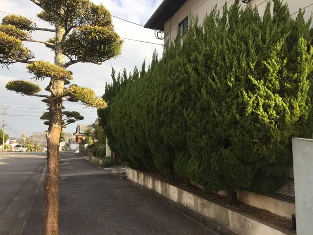 ＜大分県から出向します＞大工10年、造園10年、木が大好きです！なんでも相談OKサービスの画像