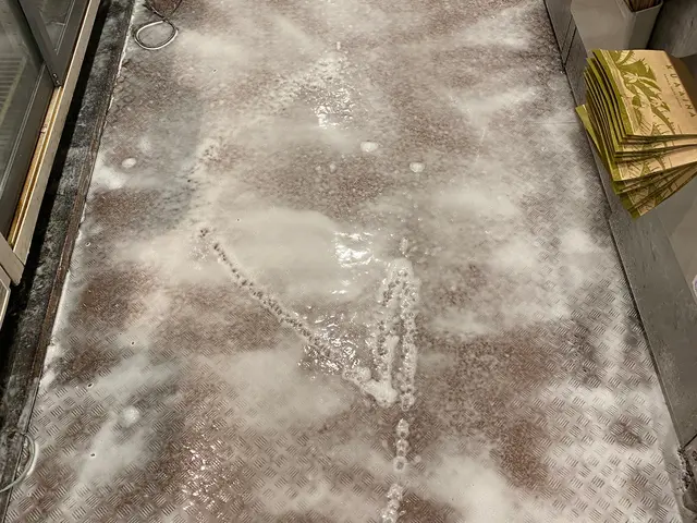 経験豊かな店長が様々な施工方法でコバエ駆除を行いますサービスの画像