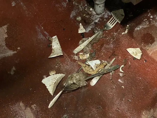 経験豊かな店長が様々な施工方法でコバエ駆除を行いますサービスの画像