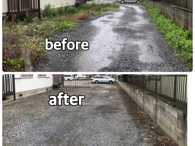 ◆お庭を覆い尽くす雑草を綺麗に刈取ります◆◎芝刈り対応できます【見積無料】◎サービスの画像