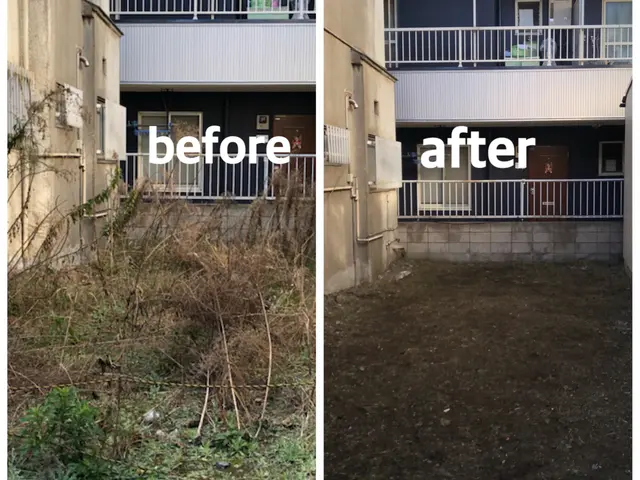 ◆お庭を覆い尽くす雑草を綺麗に刈取ります◆◎芝刈り対応できます【見積無料】◎サービスの画像