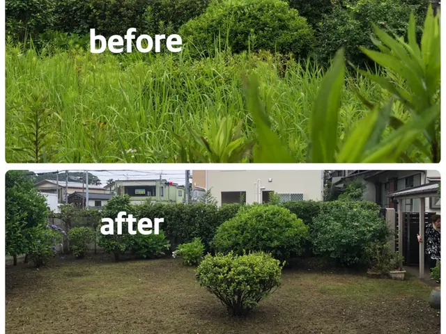 ◆お庭を覆い尽くす雑草を綺麗に刈取ります◆◎芝刈り対応できます【見積無料】◎サービスの画像