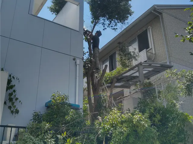 大木切りますサービスの画像