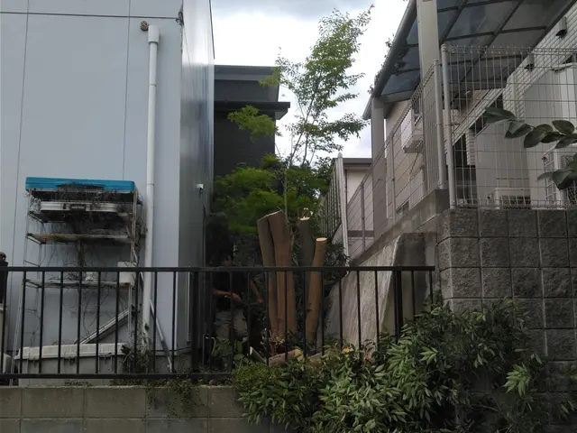 大木伐採、特殊伐採、伐採自然ゴミ撤去処分サービスの画像