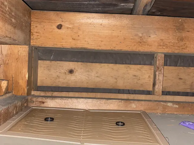 ●作業後点検2回保証付●即日・翌日対応OK！駆除+侵入口封鎖でもう増えない！サービスの画像