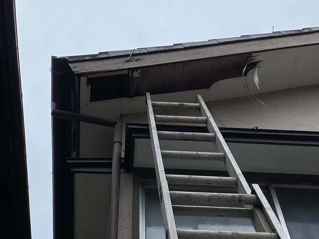 ●作業後点検2回保証付●即日・翌日対応OK！駆除+侵入口封鎖でもう増えない！サービスの画像