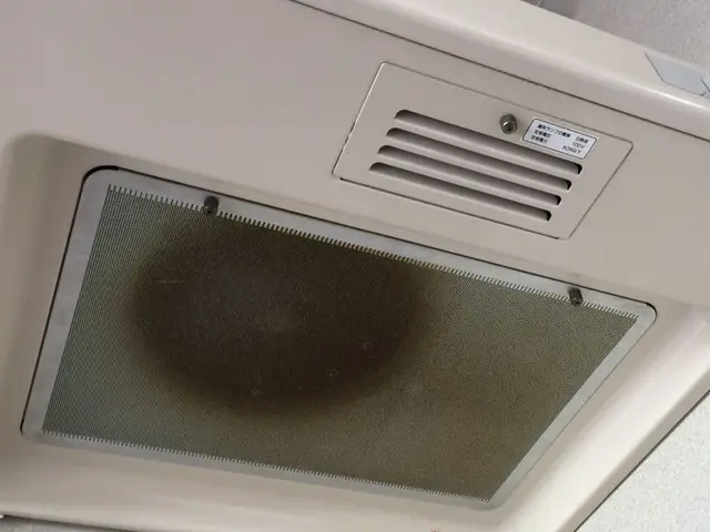 ◉気になる油汚れ/嫌なベタベタ/隅々までキレイに【スッキリ-レンジフード】サービスの画像