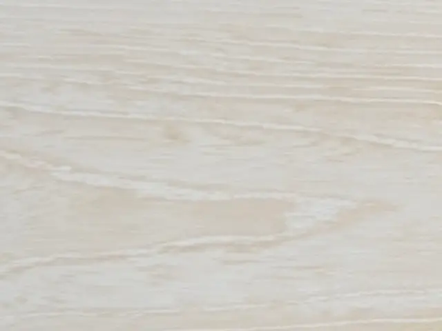 ４月末まで！期間限定サービス価格にて承ります！サービスの画像