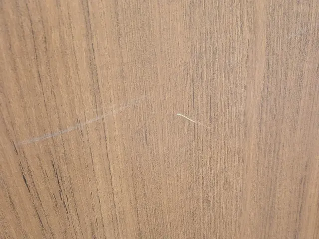 ４月末まで！期間限定サービス価格にて承ります！サービスの画像