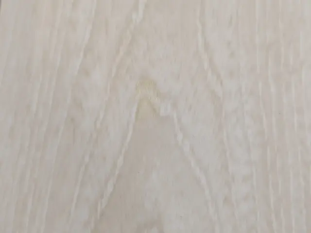 ４月末まで！期間限定サービス価格にて承ります！サービスの画像