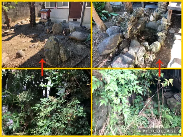 平米数で割引致します！ご期待以上の仕上がりを目指します！対応地域外も可能です。サービスの画像