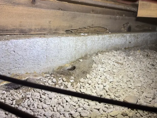 【累計1000件以上】店長訪問/床下＋家周辺予防◎/防蟻施工/即日対応可サービスの画像