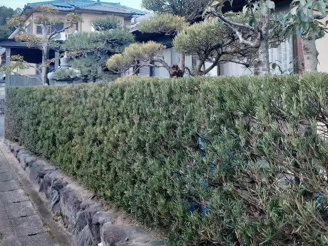 ◎業歴8年　実績1000件以上　◎対応地域外も対応いたしますサービスの画像