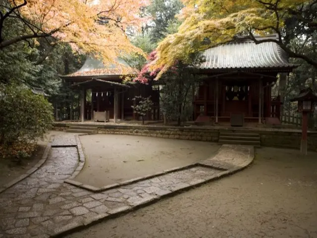 【映画会社が撮る】あなただけの物語を「フィルム写真やMOVIEで残そう！」