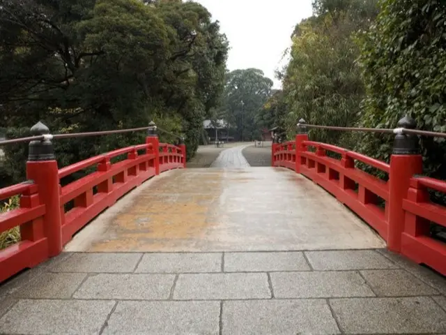 【映画会社が撮る】あなただけの物語を「フィルム写真やMOVIEで残そう！」