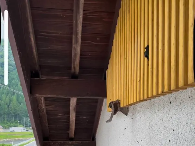 《必見！》どこに依頼するか悩んでる人、このページを読んで参考にしてください！サービスの画像