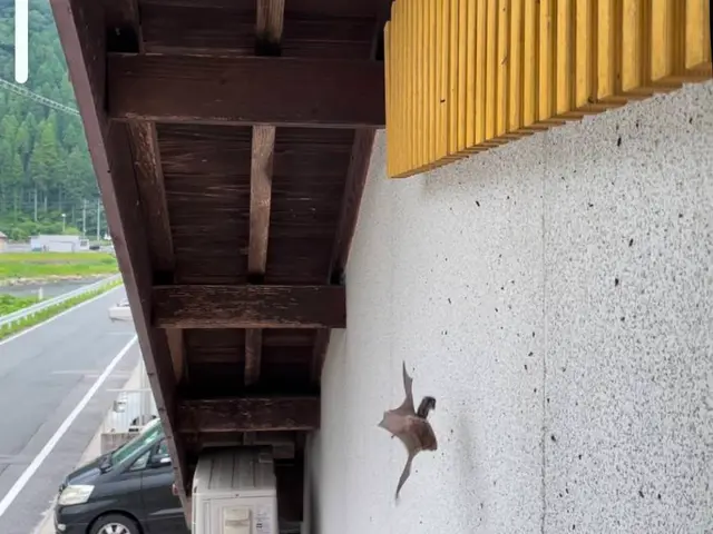 《必見！》どこに依頼するか悩んでる人、このページを読んで参考にしてください！サービスの画像