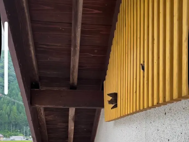 《必見！》どこに依頼するか悩んでる人、このページを読んで参考にしてください！サービスの画像