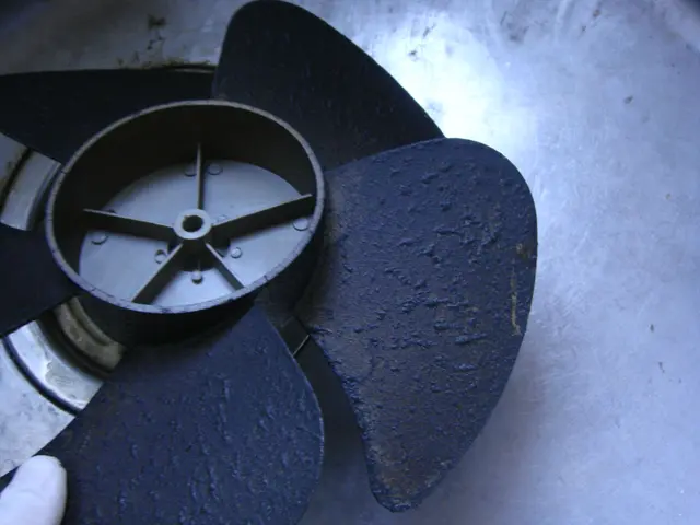 換気扇クリーニングでキレイなキッチン！サービスの画像