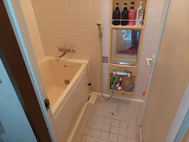 ☆浴室のしつこい汚れをすっきり☆エプロン取外し可能な場合は内部洗浄を含みますサービスの画像