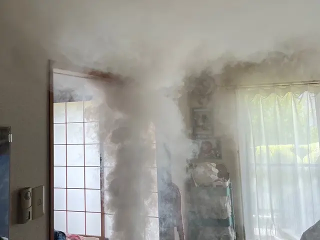 24h/当日可能！国家資格保持者の徹底駆除！薬剤+高圧スチーム処理も！割引中！サービスの画像