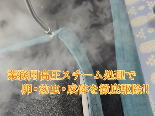 24h/当日可能！国家資格保持者の徹底駆除！薬剤+高圧スチーム処理も！割引中！サービスの画像