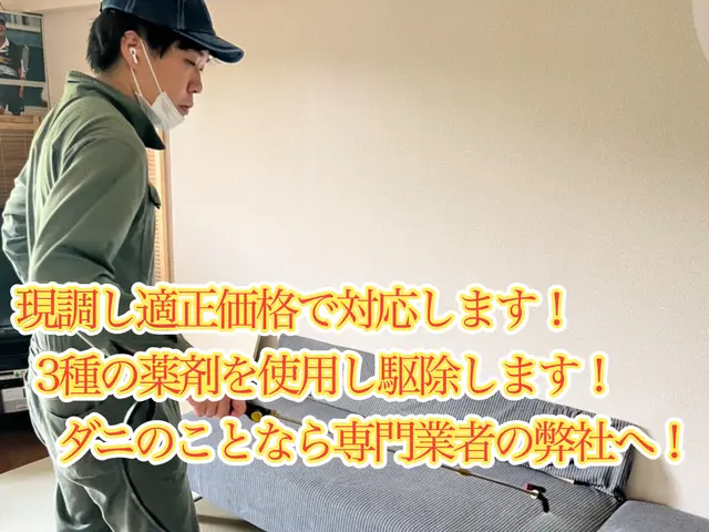 24h/当日可能！国家資格保持者の徹底駆除！薬剤+高圧スチーム処理も！割引中！サービスの画像
