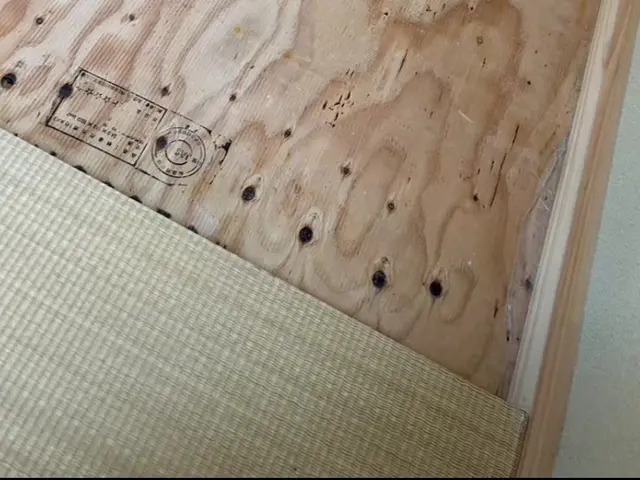 24h/当日可能！国家資格保持者の徹底駆除！薬剤+高圧スチーム処理も！割引中！サービスの画像