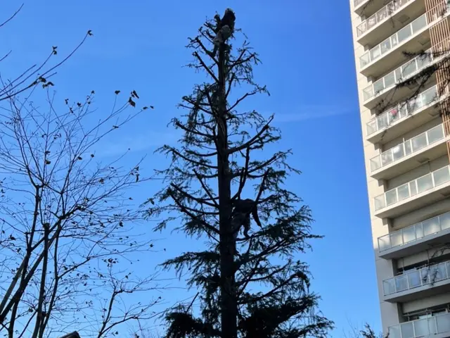 【業界歴10年】お客様に寄り添う心をモットーにしてます！安心、安全、クオリティ重サービスの画像